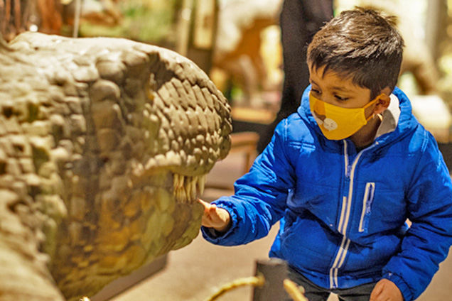 A child looking at a prehistoric reptile.